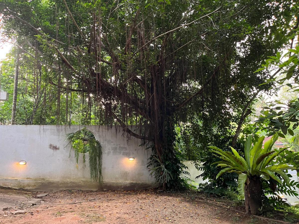 Villa Dinoos- Weligama Exterior foto